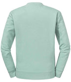 262M Eucalyptus Green Back