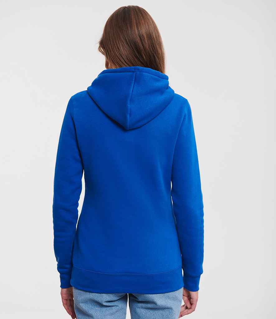 265F Bright Royal Model