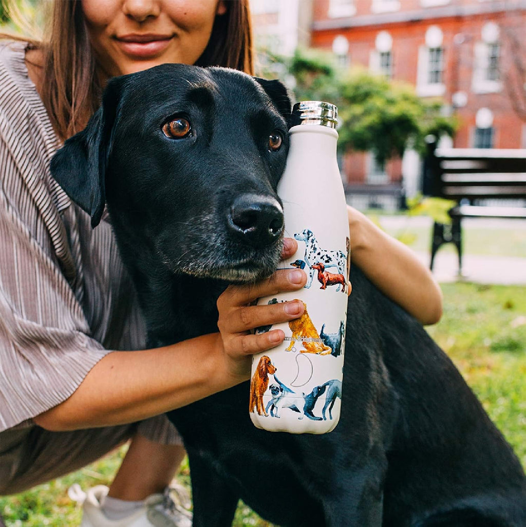 Chilly's Original Stainless Steel Water Bottle 260ml