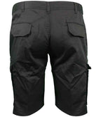 HL241 Black Back