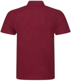 RX101 Burgundy Back