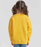 SS8B Sunflower Model