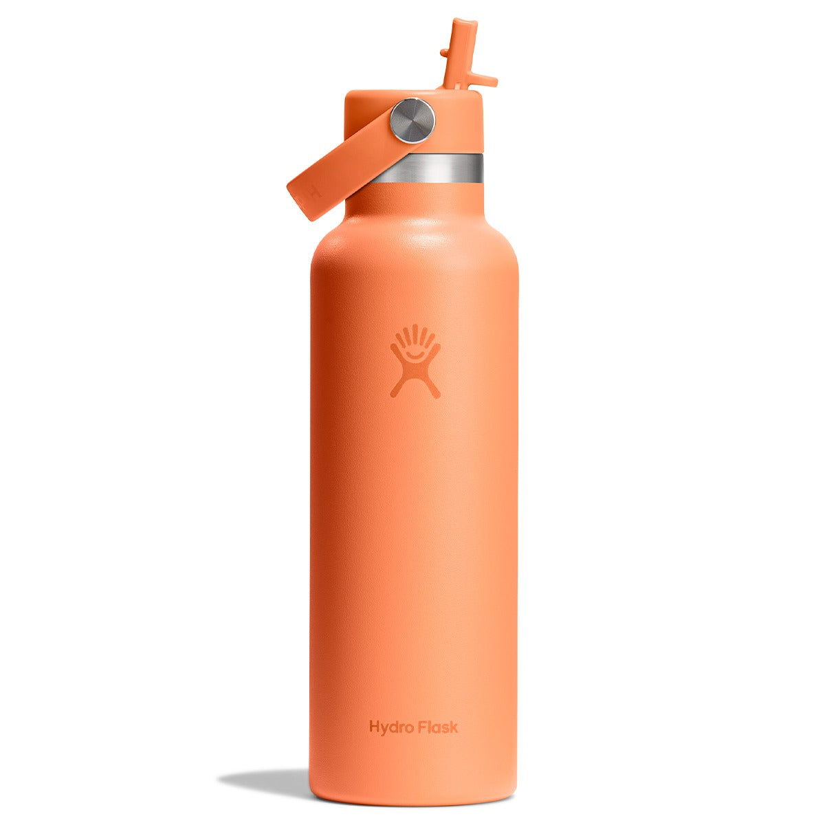 Hydro Flask Standard Mouth Bottle with Flex Straw Cap 621ml
